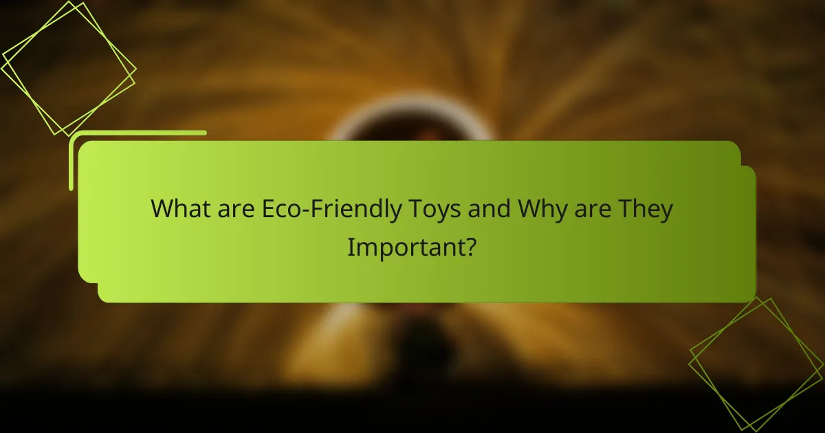 What are Eco-Friendly Toys and Why are They Important?