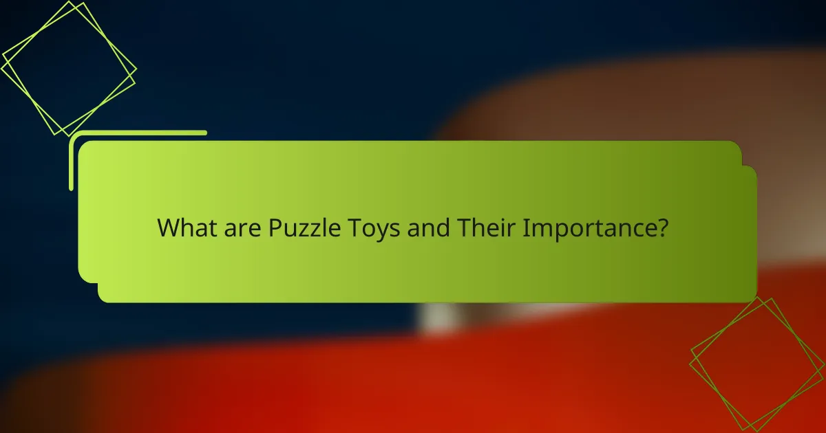 What are Puzzle Toys and Their Importance?