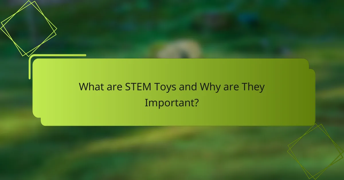 What are STEM Toys and Why are They Important?