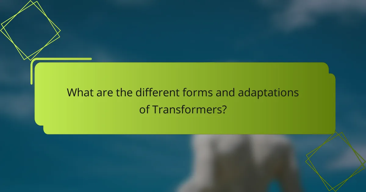 What are the different forms and adaptations of Transformers?